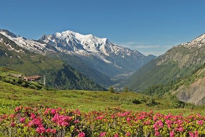 © Patrice Labarbe - Tour du mont Blanc - Alpes du Nord - France Tour du mont Blanc - Alpes du Nord - France