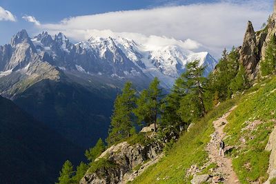 © AZAM Jean-Paul / hemis.fr - Randonneur sur le tour du Mont Blanc - Argentière - Haute Savoie - France Randonneur sur le tour du Mont Blanc - Argentière - Haute Savoie - France