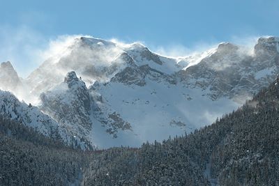Parc naturel régional du Queyras - Hautes Alpes - Provence Alpes Côte d'Azur - France