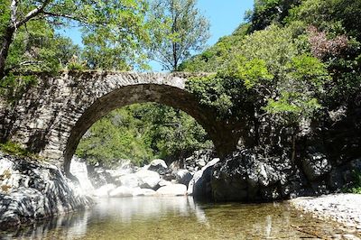 © Bruno Poinson - Le massif du Caroux - Parc naturel du Haut-Languedoc - France Le massif du Caroux - Parc naturel du Haut-Languedoc - France