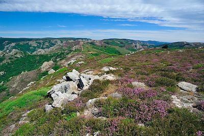 © Thierry Le Quay / Biosphoto - Massif du Caroux et de l'Espinou - Hérault - France Massif du Caroux et de l'Espinou - Hérault - France