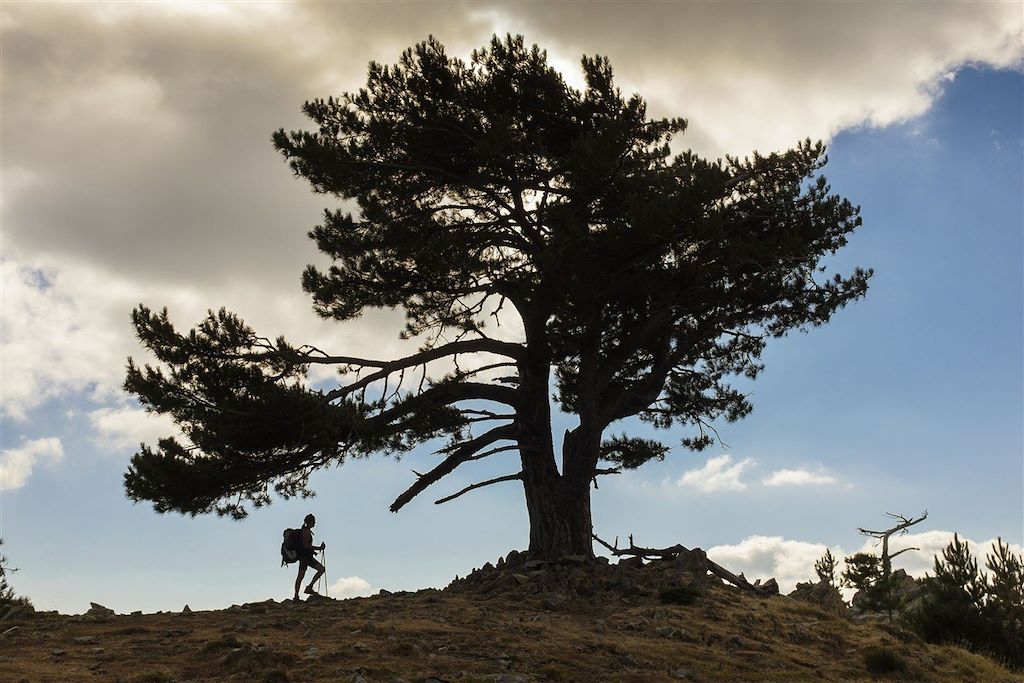 Voyage GR20 Sud : de Bavella à Vizzavona 1