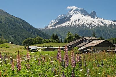 Tour du Mont-Blanc en hôtel