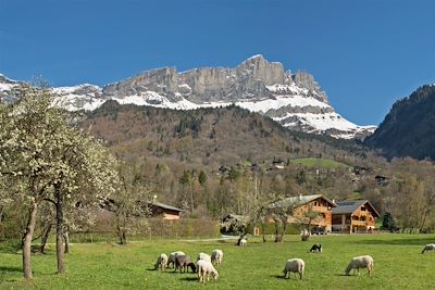 Tour du mont Blanc - Alpes du Nord - France