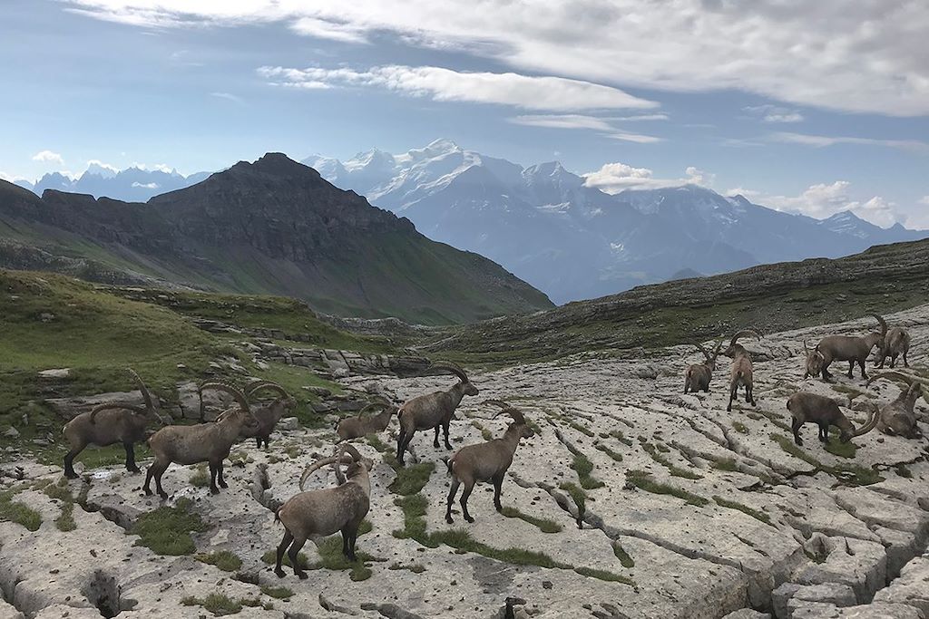 Voyage Les montagnards du bout du monde 3