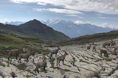 Sixt-Fer-à-Cheval - France