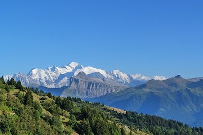Vue Mont Blanc depuis le plateau de Loex - Sixt-Fer-à-Cheval - France