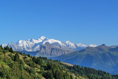 © OT Sixt / Revalog - Vue Mont Blanc depuis le plateau de Loex - Sixt-Fer-à-Cheval - France Vue Mont Blanc depuis le plateau de Loex - Sixt-Fer-à-Cheval - France