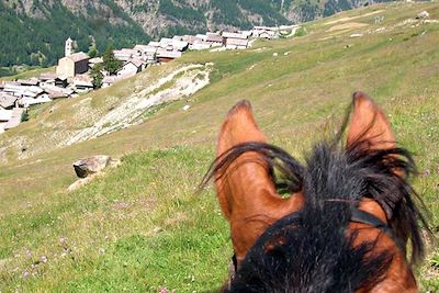 Balade à cheval - Queyras - Alpes du Sud - France