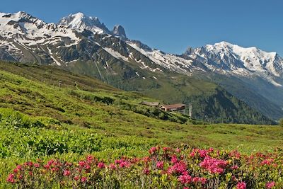 Tour du mont Blanc - Alpes du Nord - France