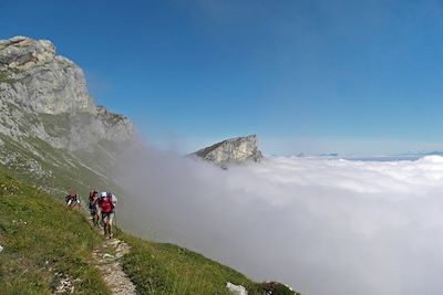 © Bruno Lamaison - Balcon Est - Vercors - France Balcon Est - Vercors - France