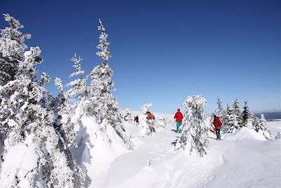 Voyage Massif Central