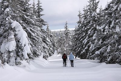 Voyage Raquettes sportives à Bagnols-les-Bains 2