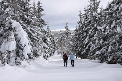 Voyage Découverte neige à Bagnols-les-Bains 1