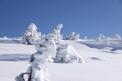 Bagnols-les-Bains - France