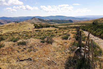 Mont-Lozère - France