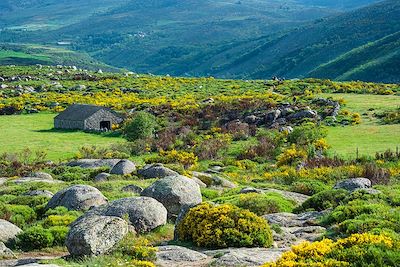 Chemin de Stevenson - Sud Mont Lozère - France