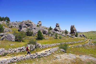 Gorges du Tarn - Massif Central - France