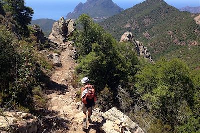 © Peter Gregor - De Girolata à Curzu - Mare e Monti - Corse - France De Girolata à Curzu - Mare e Monti - Corse - France