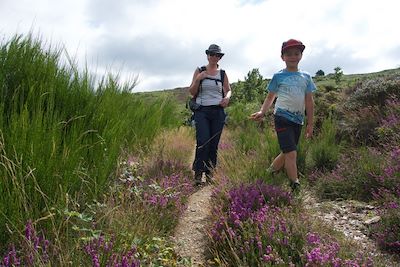 Randonnée - Massif du Caroux - Parc naturel du Haut-Languedoc - France