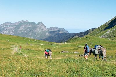 Voyage Balade avec un âne entre Léman et Mont-Blanc 3