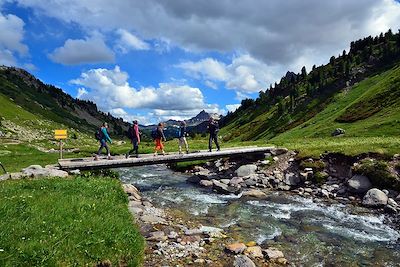 © Robin Gentil - Passerelle en Haute Vallée de la Clarée - France Passerelle en Haute Vallée de la Clarée - France