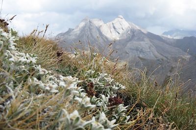 Parc naturel régional du Queyras - Hautes Alpes - France