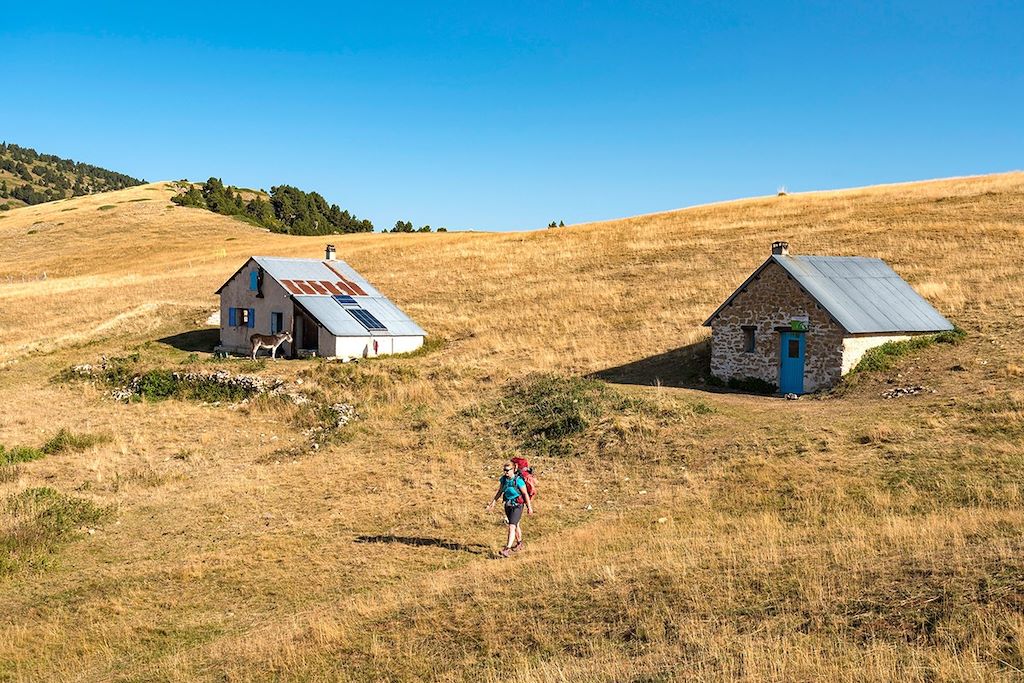 Voyage Les loups des hauts plateaux du Vercors 3