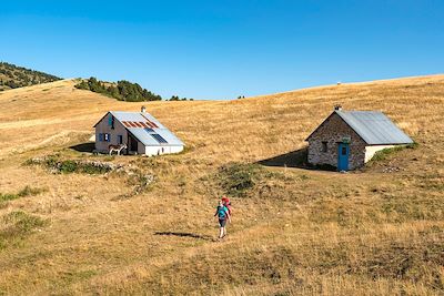 Voyage Les loups des hauts plateaux du Vercors 3