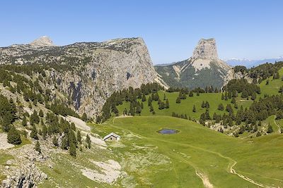 Voyage Les loups des hauts plateaux du Vercors 1