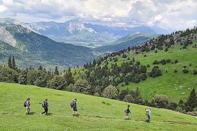 © Bruno Poinson - Vercors - Trièves - France Vercors - Trièves - France
