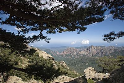 © Laurent Boiveau - Col de Bavella - Corse Col de Bavella - Corse