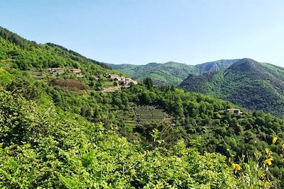 Paysage du piémont ardéchois - France