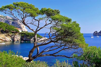 Voyage Escapade dans les calanques de Marseille 1