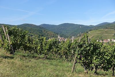 Villages et vignobles d'Alsace - France