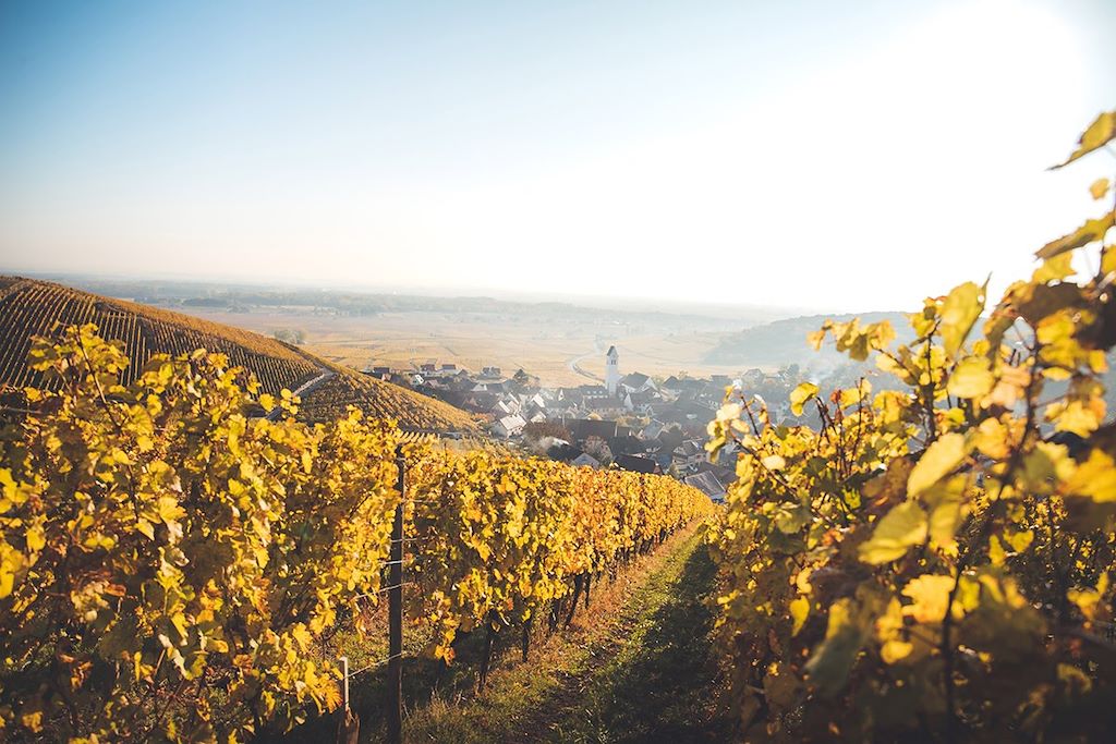 Voyage Escapade en Alsace 2