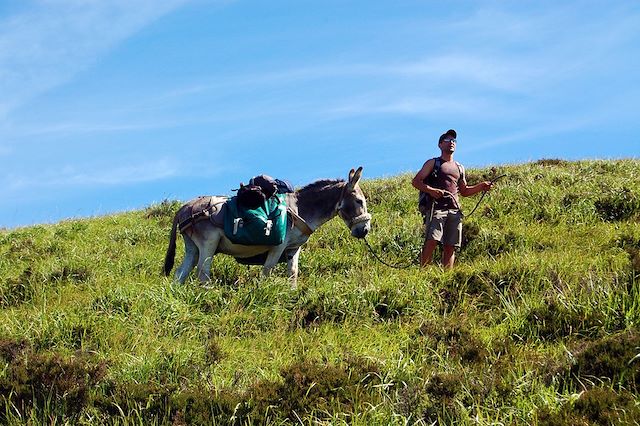 Voyage Les volcans du Cantal avec un âne