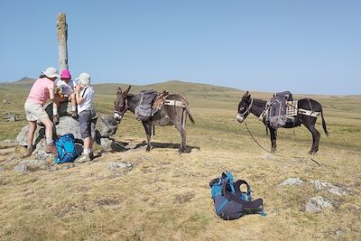 Dans le Cantal, avec un âne - France