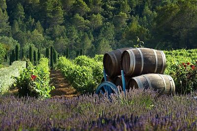 Voyage Les Dentelles de Montmirail, douceur et terroir 1