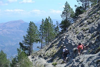 Mont Ventoux - Provence - France