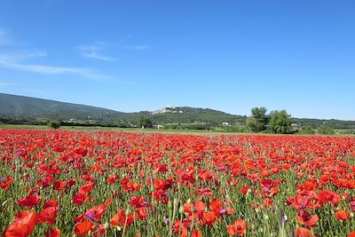 Lubéron - France