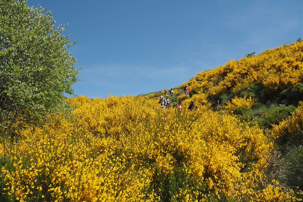 Image Randonnée Ardèche - Randonnée Cévennes - Randonnée Massif Central