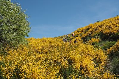 Randonnée en Ardèche - France