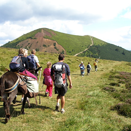 Randonnée avec âne France Massif Central