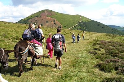 Voyage La chaîne des Puys avec un âne 2