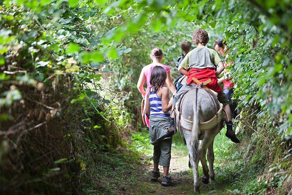Voyage La chaîne des Puys avec un âne 1
