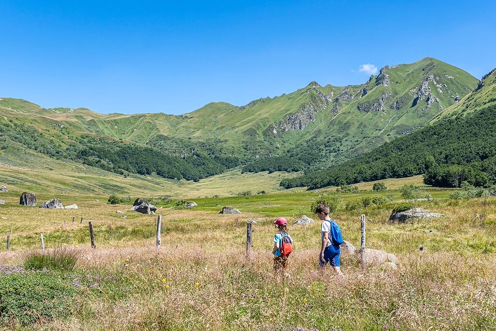 Image Randonnée Avec Un âne - Rando Chaîne Des Puys