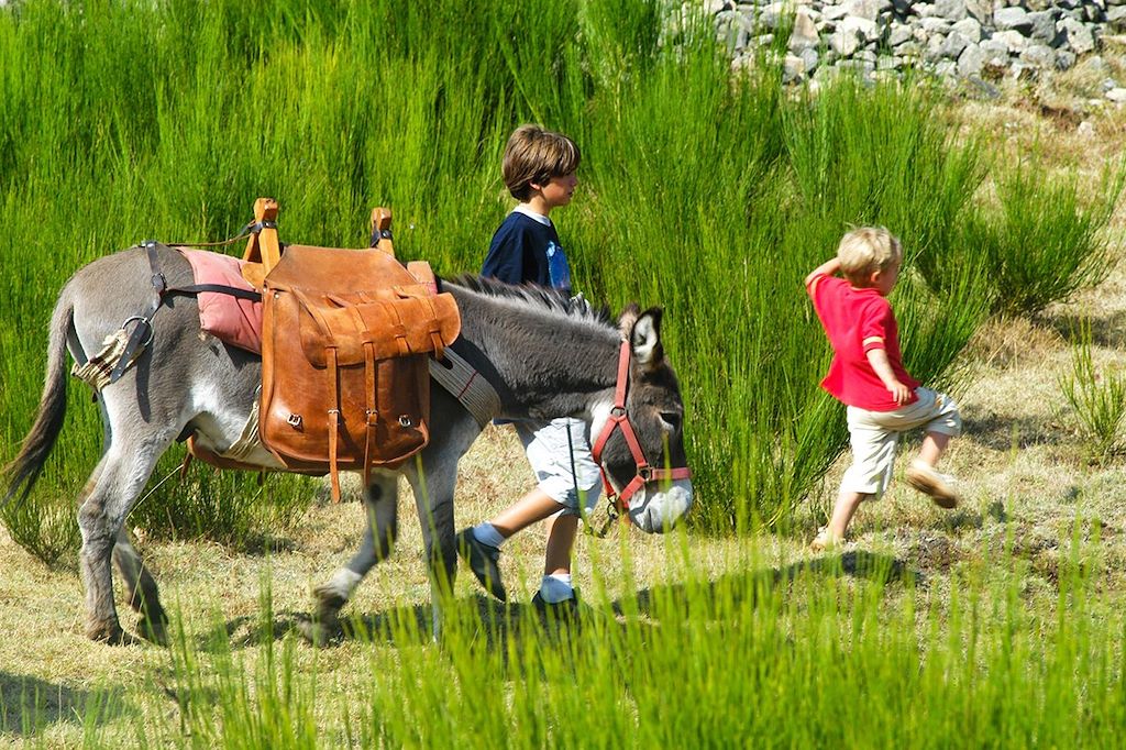 Voyage L'Ardèche et les balcons du Rhône avec un âne 2