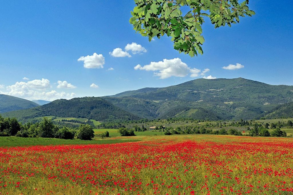 Voyage L'Ardèche et les balcons du Rhône avec un âne 1