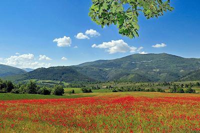 Paysage ardéchois - Balcons du Rhône - France